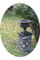 vase