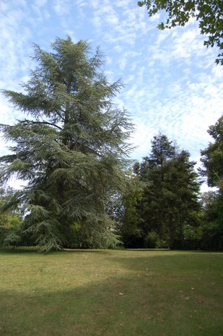 Le parc