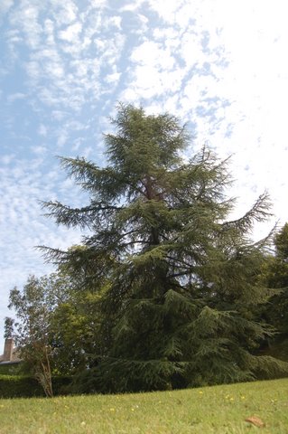 Le parc